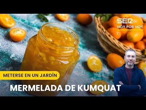 Probamos la mermelada de kumquat y el falso papiro | Meterse en un jardín, con Eduardo Barba