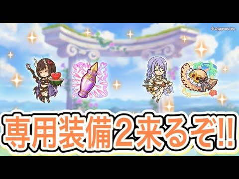 【プリコネR】エリコサマーとシズルサマーに専用装備2追加‼検証だ‼