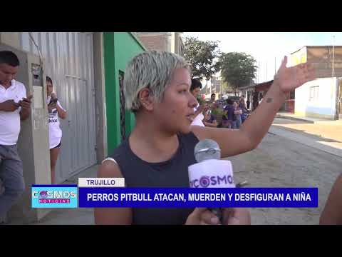 Trujillo: Perros pitbulls atacan, muerden y desfiguran a niña