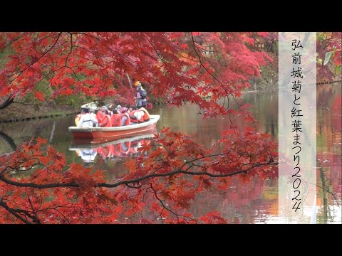 【東北・青森】弘前城菊と紅葉まつり2024