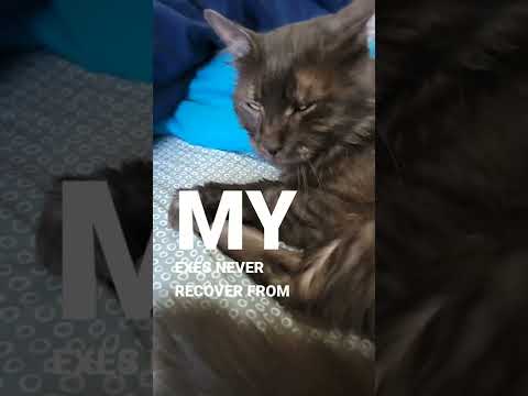 I woke up gorgeous 😍 always 😉