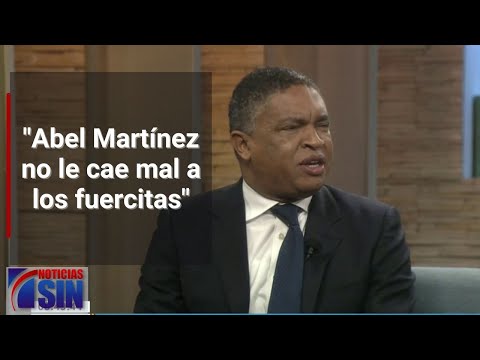 "Indudablemente yo pienso que nos vamos aliar, y Abel no le cae mal a los fuercitas", asegura PLD