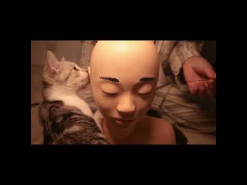 耳かきを絶対に阻止する子猫