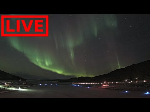 🌎 LIVE Greenland Auroras Northern Lights