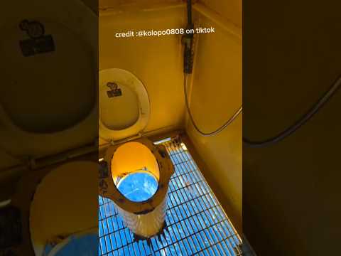 Would you use this toilet? #ocean
