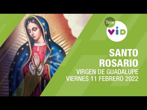 Santo Rosario Virgen Guadalupe  Viernes 11 Febrero 2022 Misterios Dolorosos - Tele VID