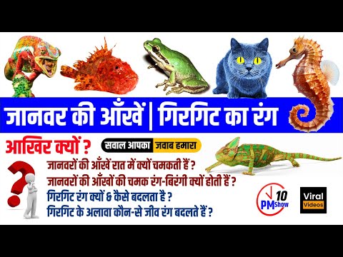 रात में जानवर की आँखे रंगीन क्यों & गिरगिट अपना रंग क्यों & कैसे बदलता है | Study91 Nitin Sir