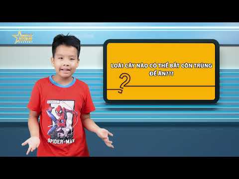 Bài cuối khóa Star 1 - Đại Quang