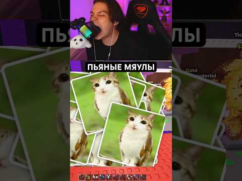 МЯУЛЫ снова пошли в атаку! #ильди