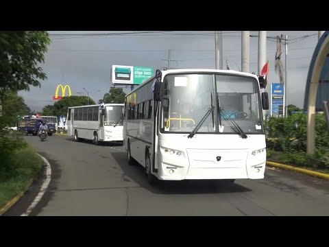 Buses rusos fortalecen el transporte urbano colectivo en el occidente