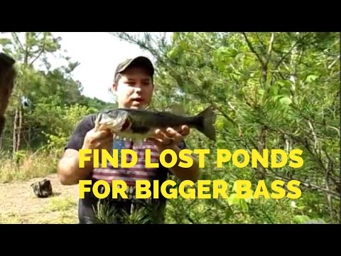 have you ever caught a mountain bass