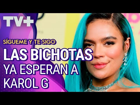 Las Bichotas ya esperan a Karol G