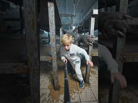 توم عم يلحقني وانا خايف كتير