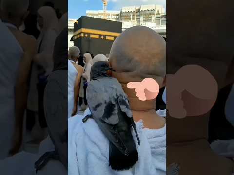 Mashallah ❤️❤️❤️