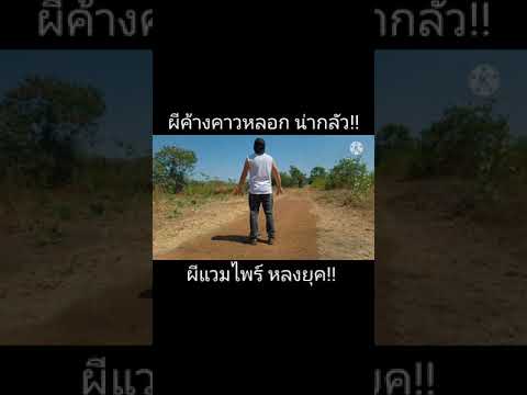 ผีแวมไพร์น่ากลัว!!กว่าผีกระสือ ผีแวมไพร์น่ากลัว!!กว่าผีกระสือ