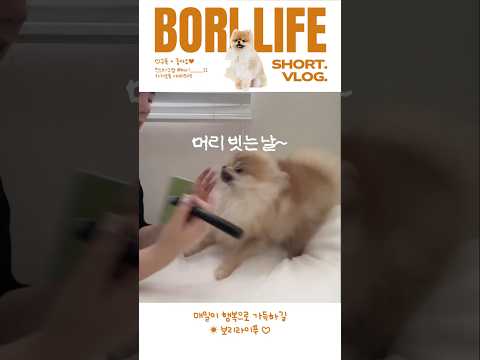 머리 빗고~ 신나고~ 기분좋고!