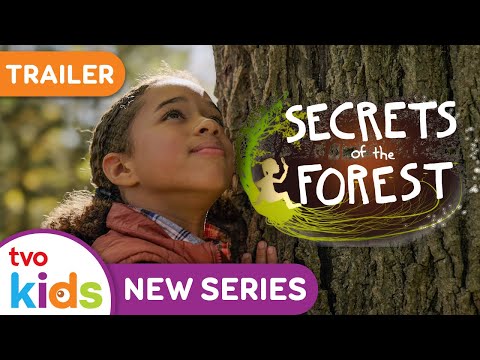 NEW! Secrets Of The Forest 🌲✨ Nature Show For Kids | TVOkids (Trailer)