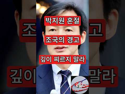 조국의 <strong>경고</strong>, 깊히 찌르지 말라