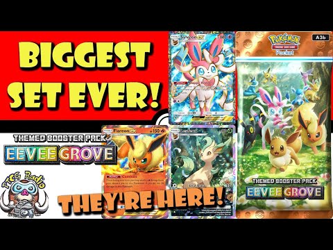 Pokemon TCG News