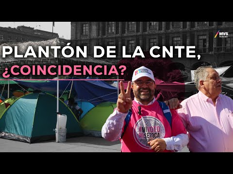 Esta es la razón por la que la MAREA ROSA y la CNTE compartirán la plancha del ZÓCALO