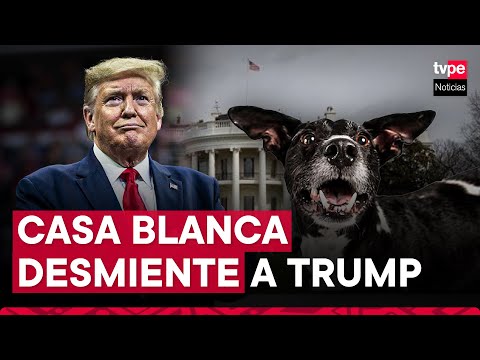 Casa Blanca descarta que haitianos roben perros y gatos para comérselos