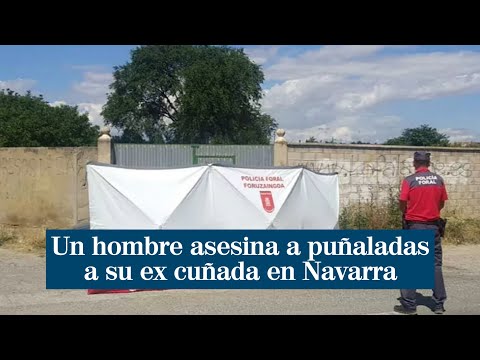 Un hombre asesina a puñaladas a su ex cuñada en Navarra en presencia de sus dos hijos