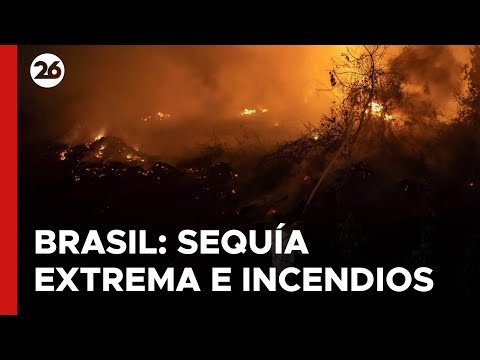 BRASIL | Sequía extrema e incendios forestales azotan el norte