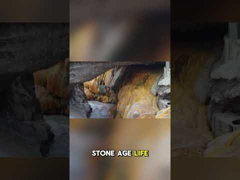 “These Cave Paintings Are Older Than the Pyramids! 😳🎨”