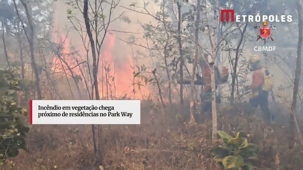 Incêndio em vegetação chega próximo de residências no Park Way