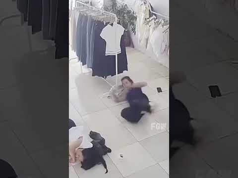 Pure Animal Chaos A Short Compilation #funny #animals #shorts