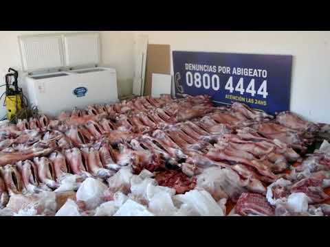 Dirección Nacional de la Seguridad Rural incauta 1.730 kg de carne producto de la faena clandestina