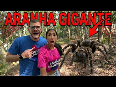 UMA ARANHA GIGANTE QUER NOS PEGAR ★ FAMÍLIA MASUDINHA ★