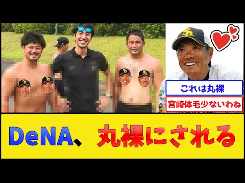 DeNA、丸裸にされる【横浜DeNAベイスターズ】【プロ野球なんJ 2ch プロ野球反応集】