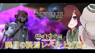【 #ff14 暁月の終焉】暁月ロールクエに備えてレベル上げする！ #13.2【VTuber/柵味サラミ】
