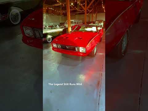 Born to Roam #BornToRoam #ClassicMustang #1968Mustang #AmericanMuscle #VintageVibes #RetroRide