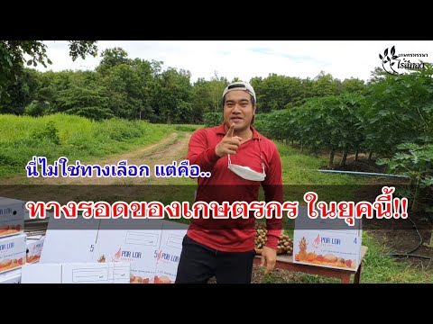 เกษตรกรรุ่นใหม่-เขาทำกันแบบนี้ เกษตรกรรุ่นใหม่-เขาทำกันแบบนี้