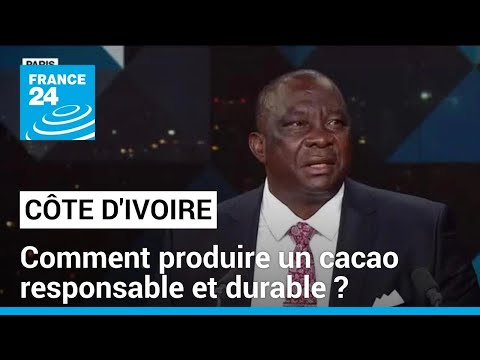 Agriculture en Côte d'Ivoire : comment produire un cacao responsable et durable ? • FRANCE 24