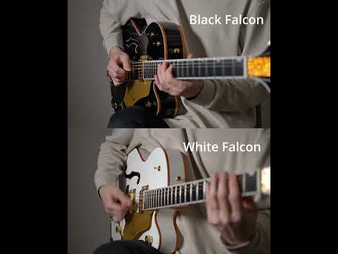 Black Falcon vs White Falcon