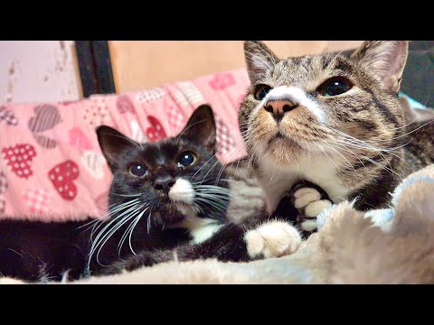 外がとんでもないことになってるぞ！みんなは大丈夫か？？