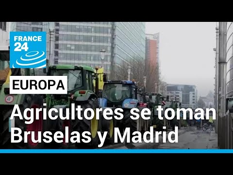 Europa: protestas del sector agrícola se tomaron las calles de Bruselas y Madrid • FRANCE 24