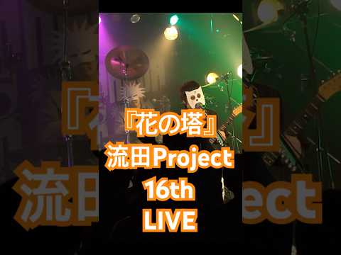 『花の塔』流田Project 16th LIVE #流田Project ##さユり #cover