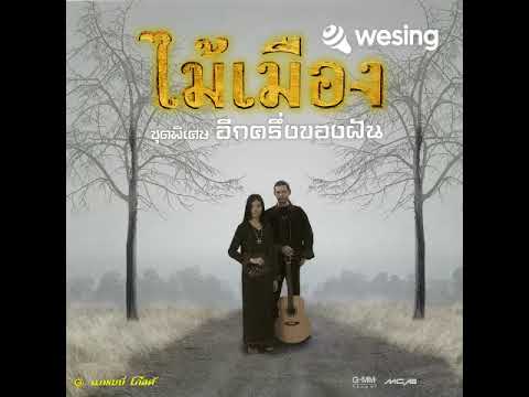 คืนนี้ฝนตก-ณัชชาทองจันทร์