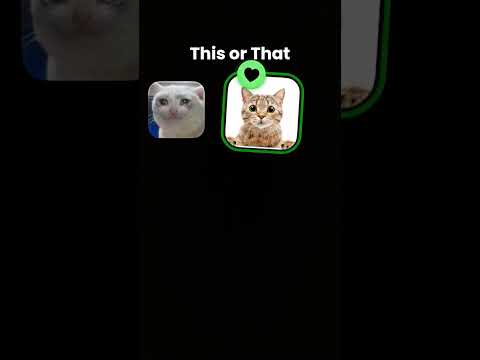 مياوووووووووووووووووووووووووووووووووووووووووووووووووووووووووو🐈