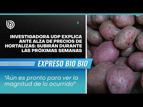 Investigadora UDP explica ante alza de precios de hortalizas: subirán durante las próximas semanas