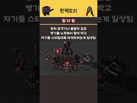 스타크래프트 내 해적집단