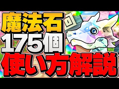 【パズドラ】