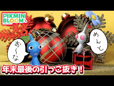 【ピクミンブルーム】オーナメント、年末最後の引っこ抜き！【Pikmin Bloom】