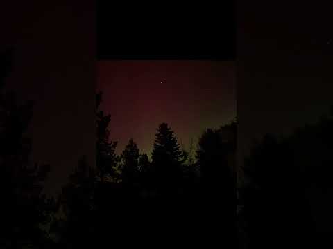 aurora in oregon #aurora #auroraborealis