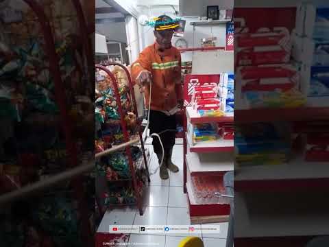 AKSI HEROIK DAMKAR SUMEDANG: EVAKUASI ULAR TAMBANG YANG MASUK MINIMARKET