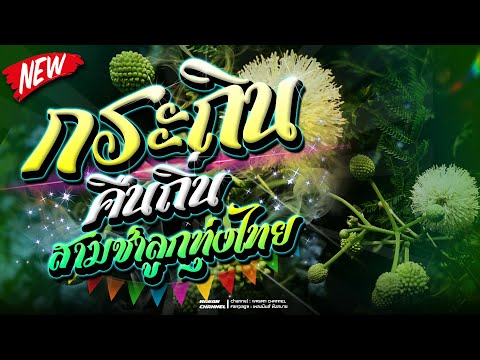 🔥รำวงสามช่า|กระถินคืนถิ่น+ขอ